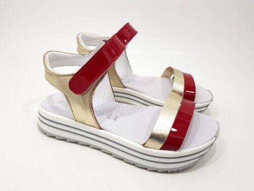 a pair of red and gold sandals